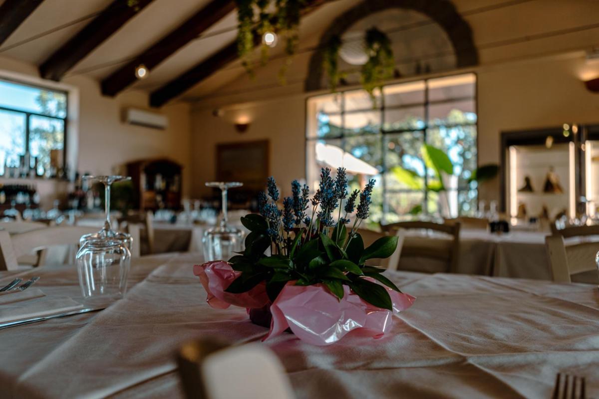 Agriturismo Cerrosughero Canino 外观 照片