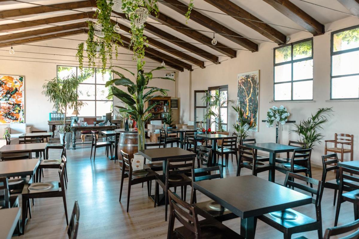 Agriturismo Cerrosughero Canino 外观 照片