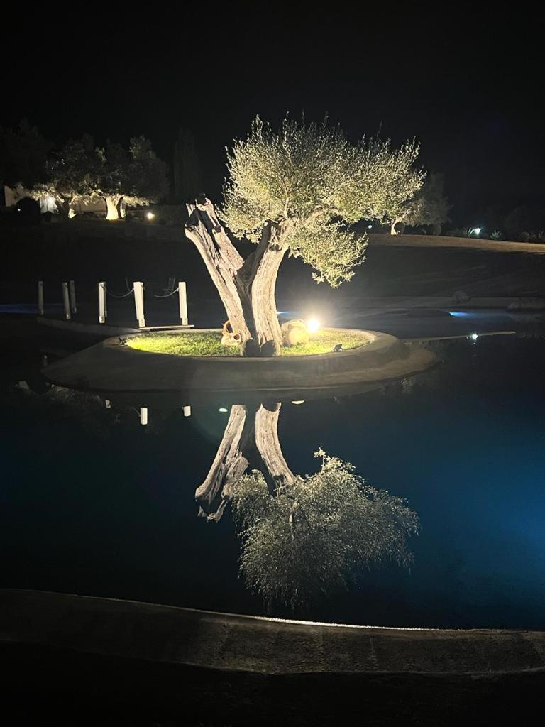 Agriturismo Cerrosughero Canino 外观 照片