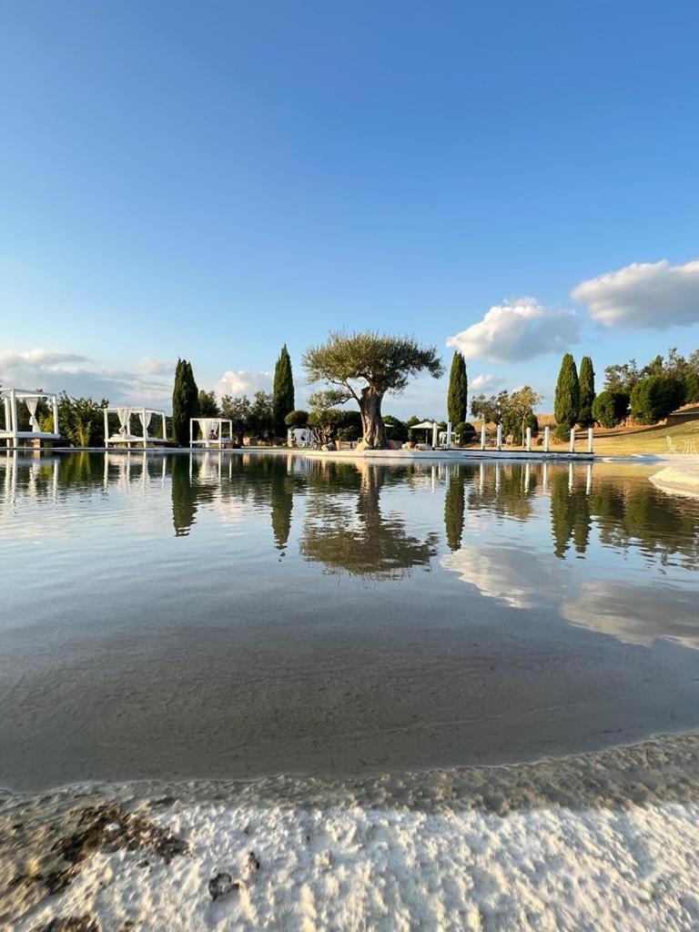 Agriturismo Cerrosughero Canino 外观 照片