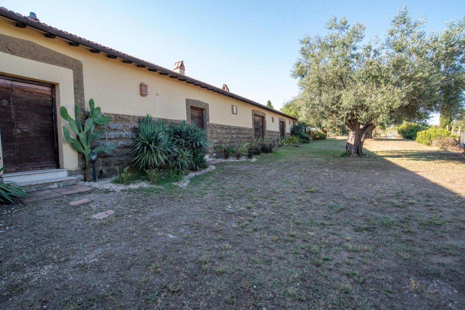 Agriturismo Cerrosughero Canino 外观 照片