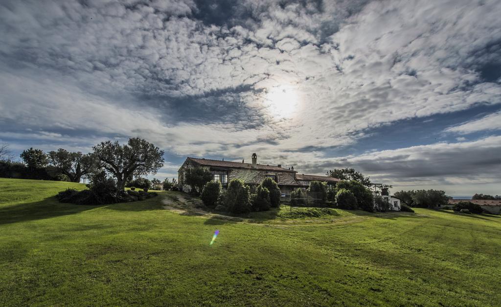 Agriturismo Cerrosughero Canino 外观 照片
